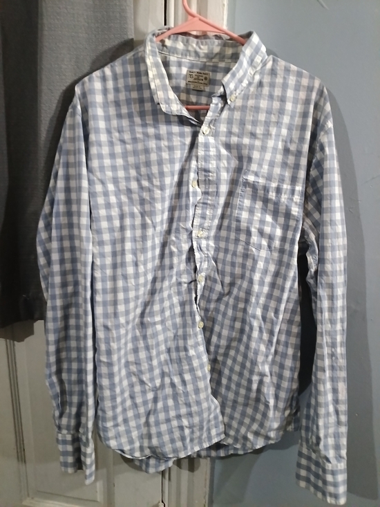 J. Crew Other - J. Crew Blue and White Gingham Button-Down Shirt